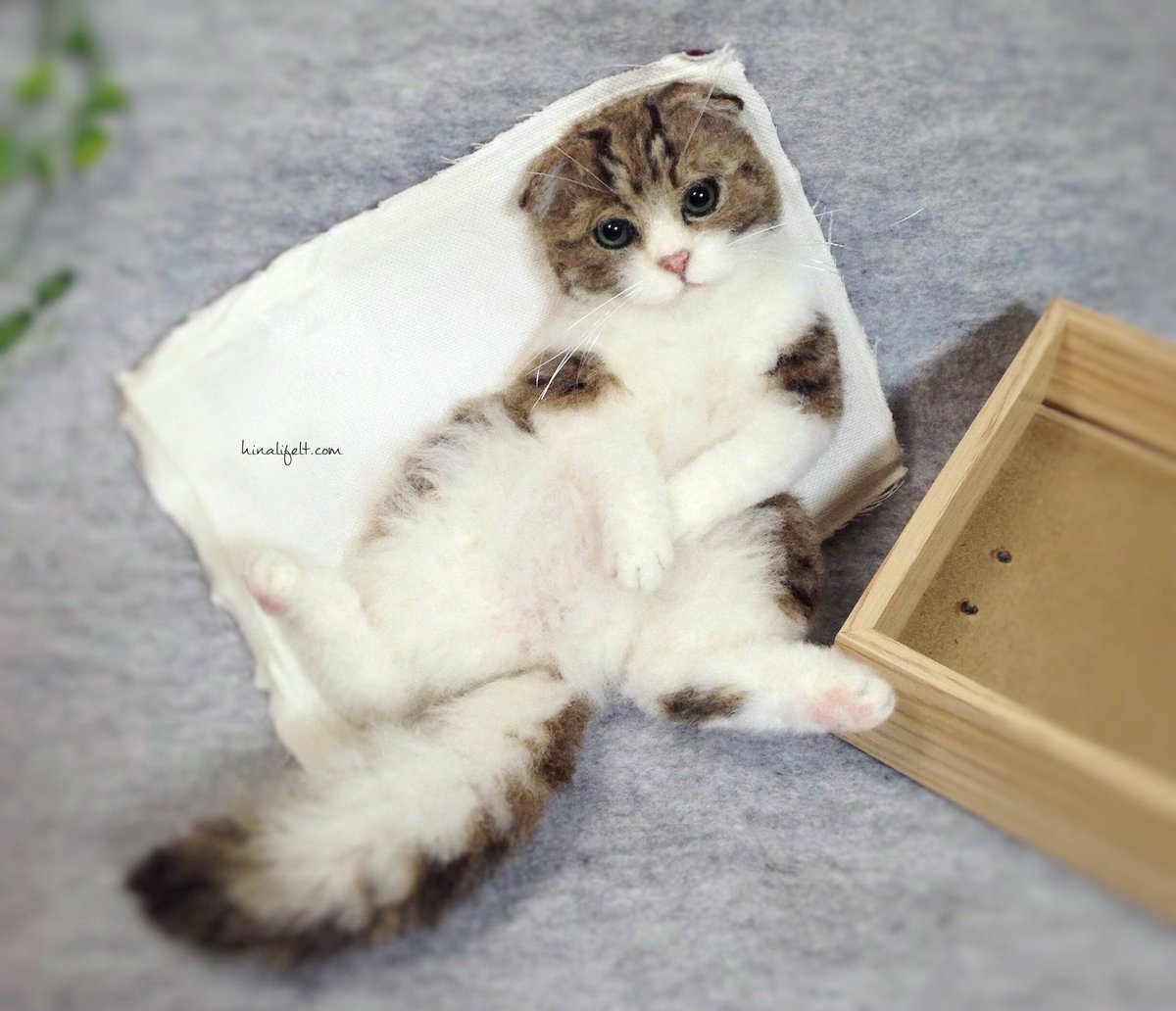 Twoucan ヒナリ 羊毛フェルト猫 Hinalifelt
