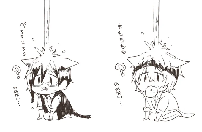 お水飲めないにゃ 