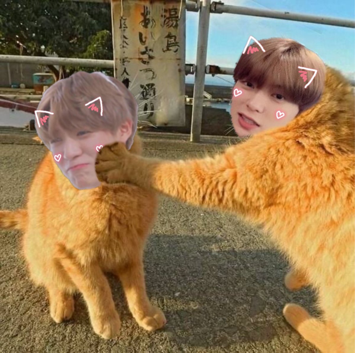 น้องแจน hiatus tweet media