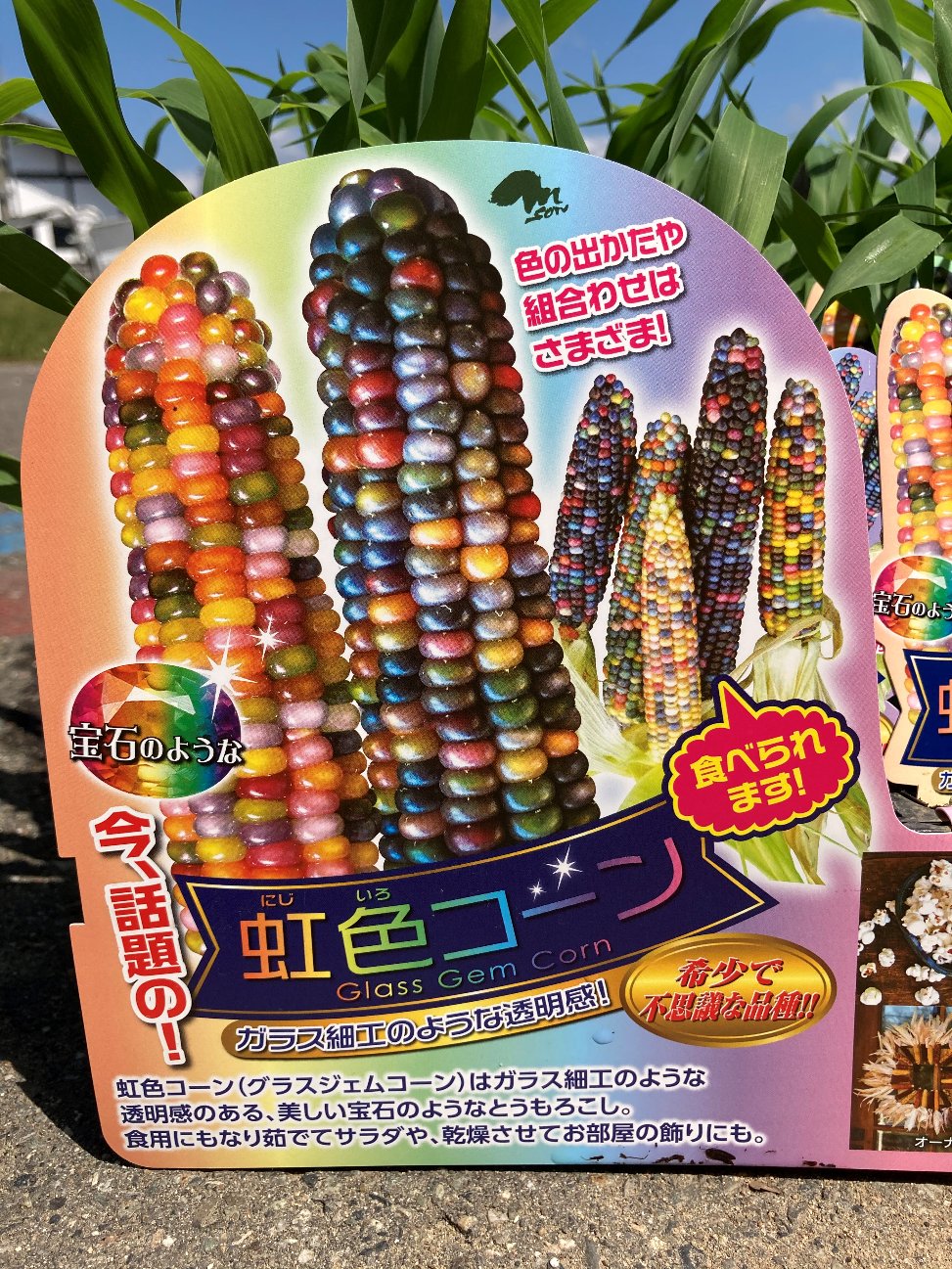 虹色コーン Twitter Search Twitter