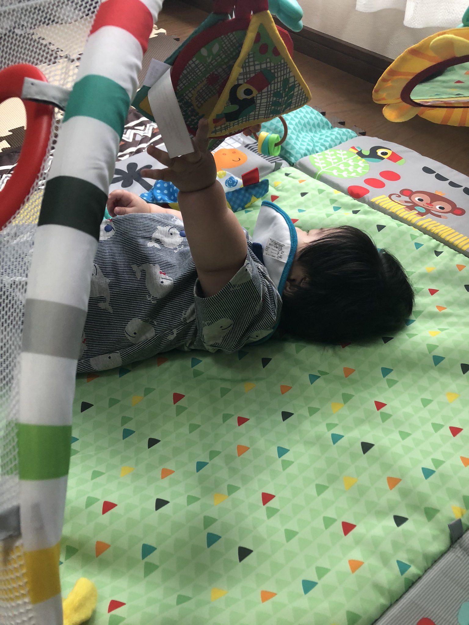 Aika Aipu0411 Twitter