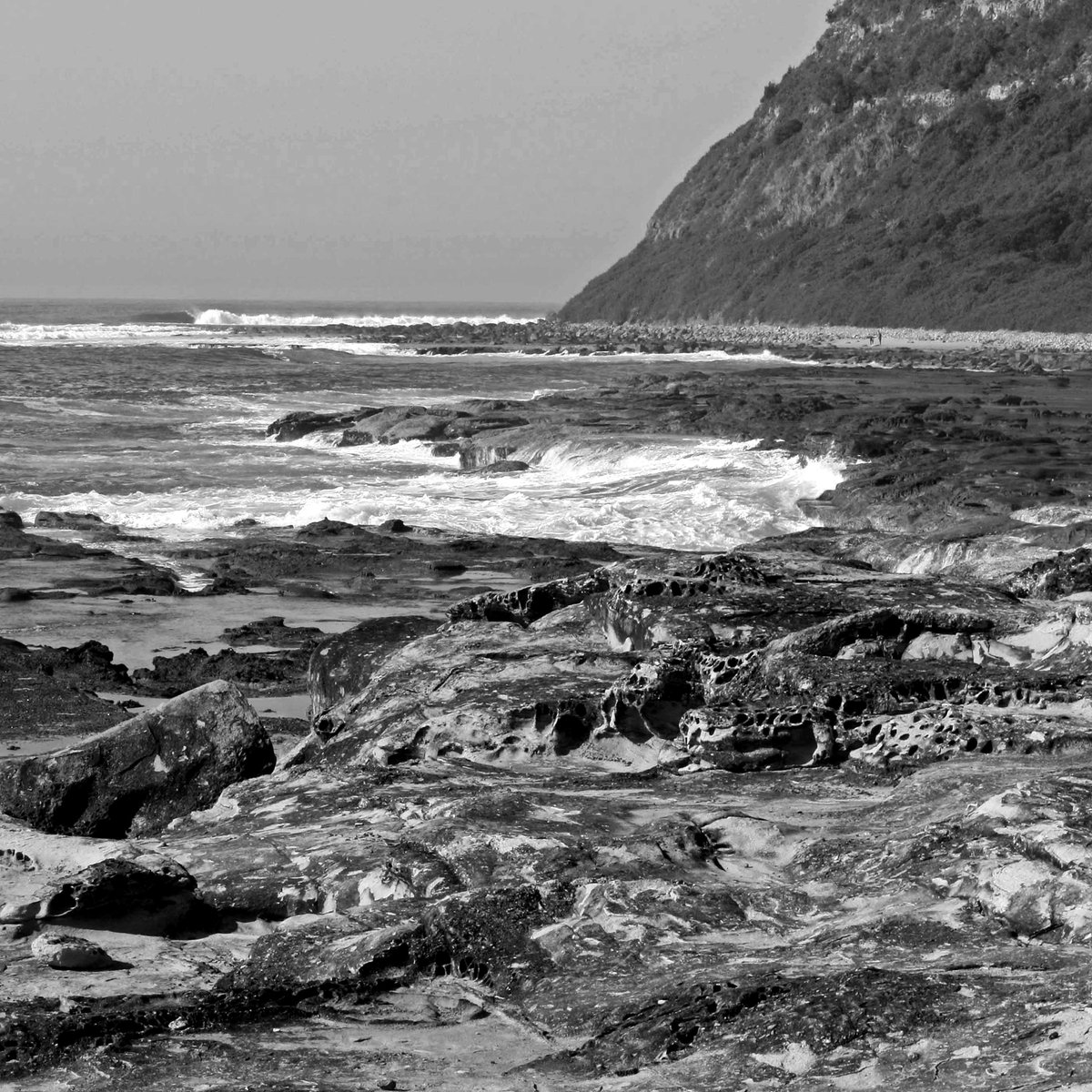 timjkeegan's tweet photo. The rock platform south of Dudley Beach
#ourlakemac #dudley #rockplatform https://t.co/10OdyRxlgJ
