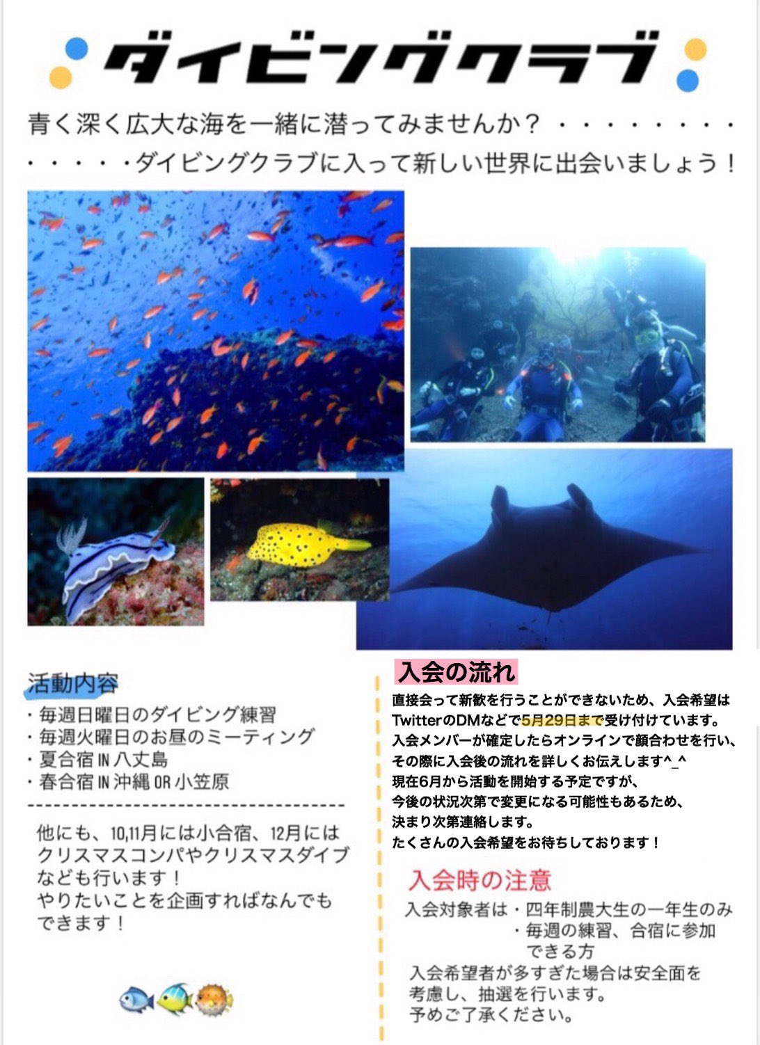 東京農業大学ダイビングクラブ 新入生の皆さん ダイビングサークル入部希望者募集中です 気になっている方 入部希望の方ぜひdm送って下さい サークルについて説明します 世田谷キャンパスの方限定になります 募集期間は5月下旬