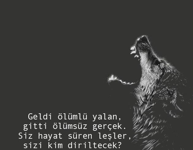 Fatih_20_'s tweet photo. #ÜlkücüTeröristlerKayseride diyen soysuzlar mesele bir tane leşiniz değil, mesele hepiniz. 😉 https://t.co/XcIX4gNe8F