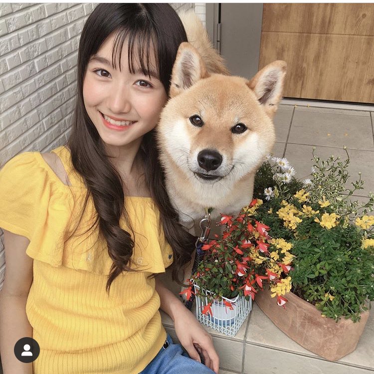 miurarinrin's tweet photo. おうち時間を楽しんでます。ワンタローと遊び、時々勉強、時々おうちモデカツw。お花とか、ラディッシュ育ててます♡びっくり1日で発芽。2センチくらいのラディッシュができるみたい、なんと30日で！楽しみです。
#おうち時間
#みんなの園芸
#栽培キット
#柴犬
#ワンタロー
#三��凛 https://t.co/nxaTtqTT1H