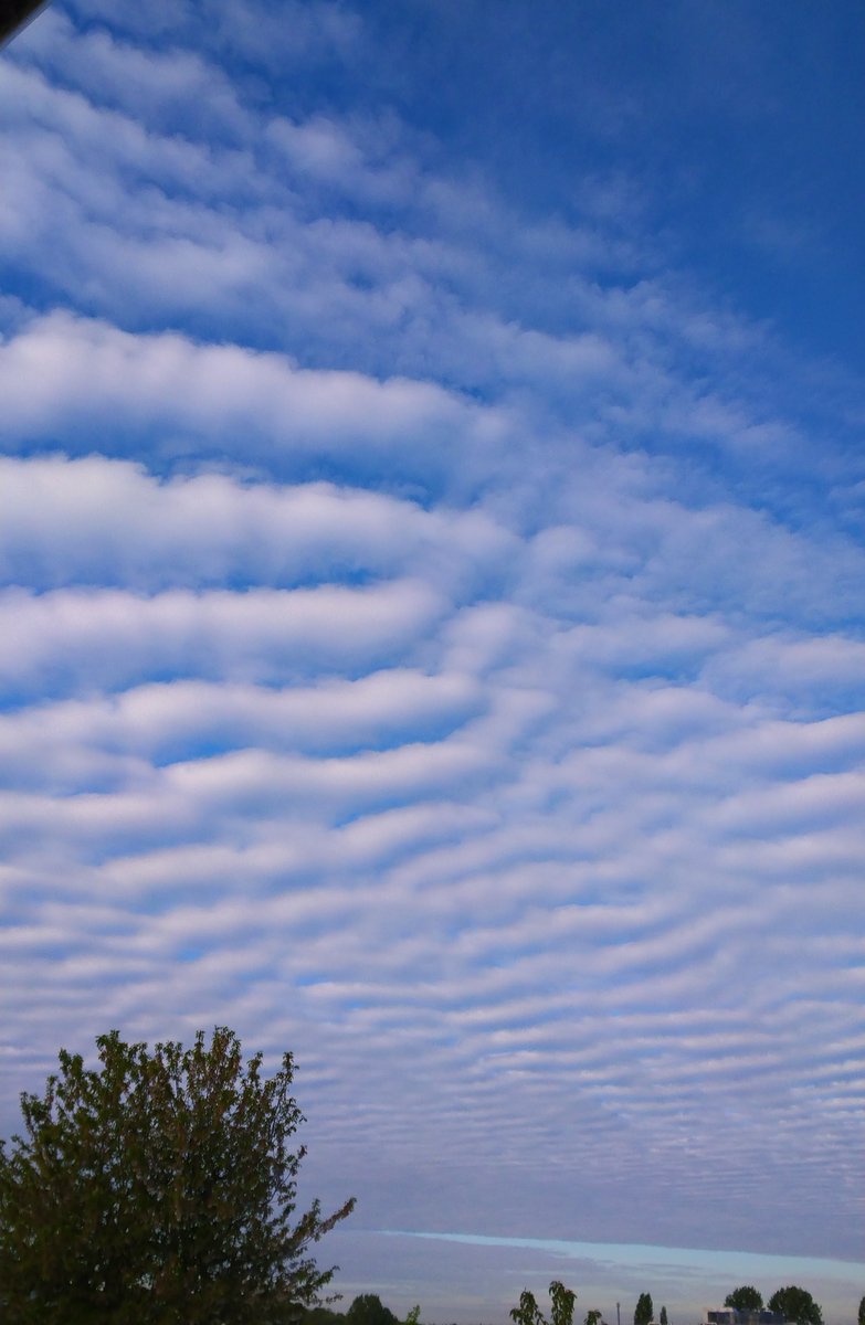 HKirk83's tweet photo. @Ross_Hutchinson what is this type of cloud formation? https://t.co/2VTWEoUAn1