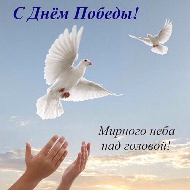 Дорогие ветераны и труженники тыла!С великим прздником Победы!Желаю только мирных дней и добрых вестей,солнечного неба над головой и спокойствие в доме!Пусть детский смех разливается,а война никогда не коснется вашей жизни.С днем Победы!