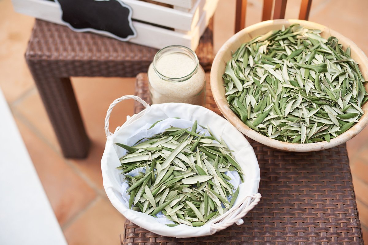 La rama de olivo 🌿 es uno de los básicos en #decoracióndebodas que no pasa de moda.

¿Tú qué piensas?

bit.ly/2WEt1oh

#decoración #bodas #deco #decorations #bridalstyle #brides #bridal #instawed