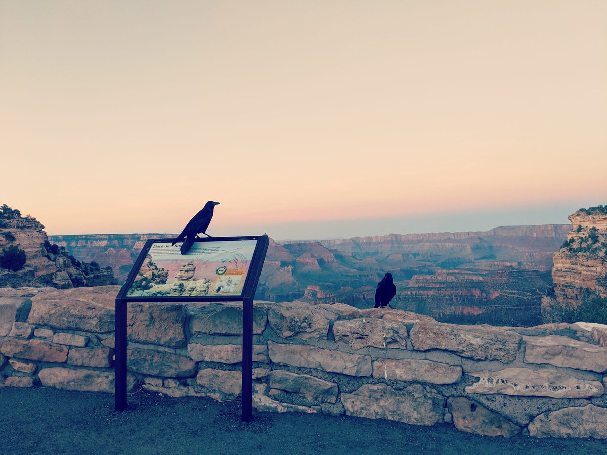 thislonelyplace's tweet photo. Just another evening in the canyon. https://t.co/8cXOI3ZeSR