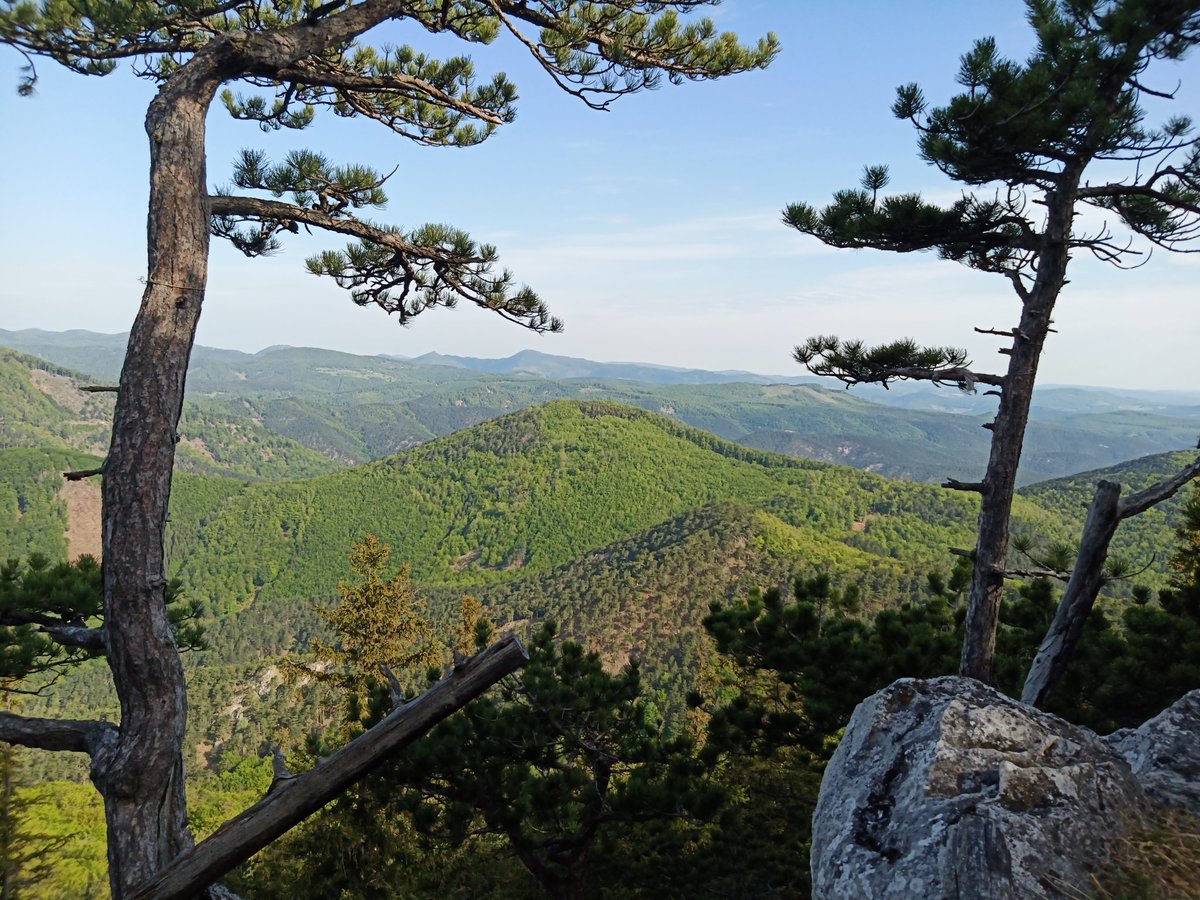 EPronizius's tweet photo. #Virtualdrinking with my friend on Friday evening was FUN. #Hiking Saturday morning was not that much of fun though. Would better stay in bed. But the beer calories will not burn itself xD https://t.co/9uymE1YLUQ