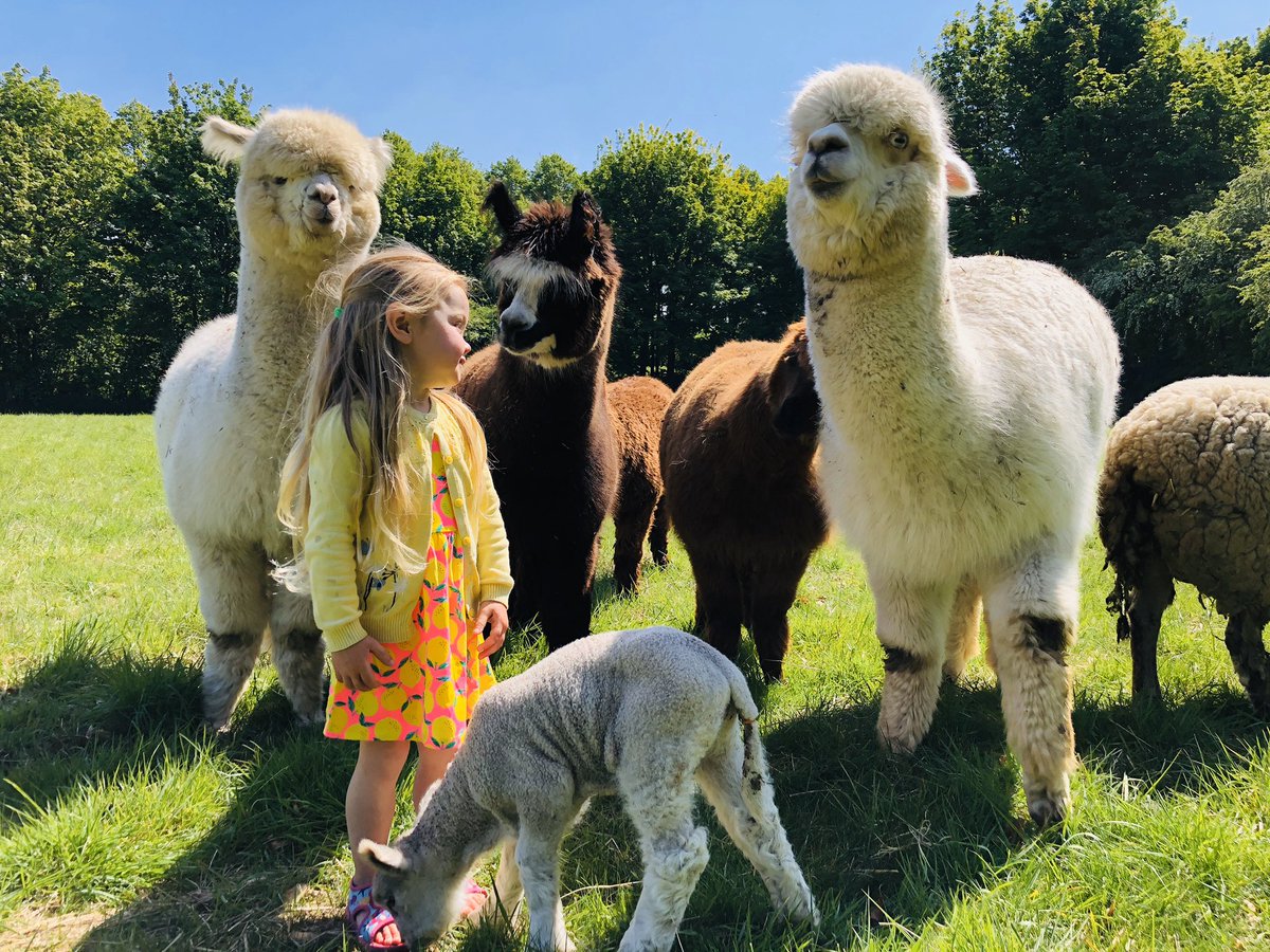 FarmNanny's tweet image. Looking for a 2021 wedding venue surrounded by animals in Yorkshire ? Get in touch #farmwedding #2021wedding #animalwedding #yorkshirewedding @iansmobilefarm