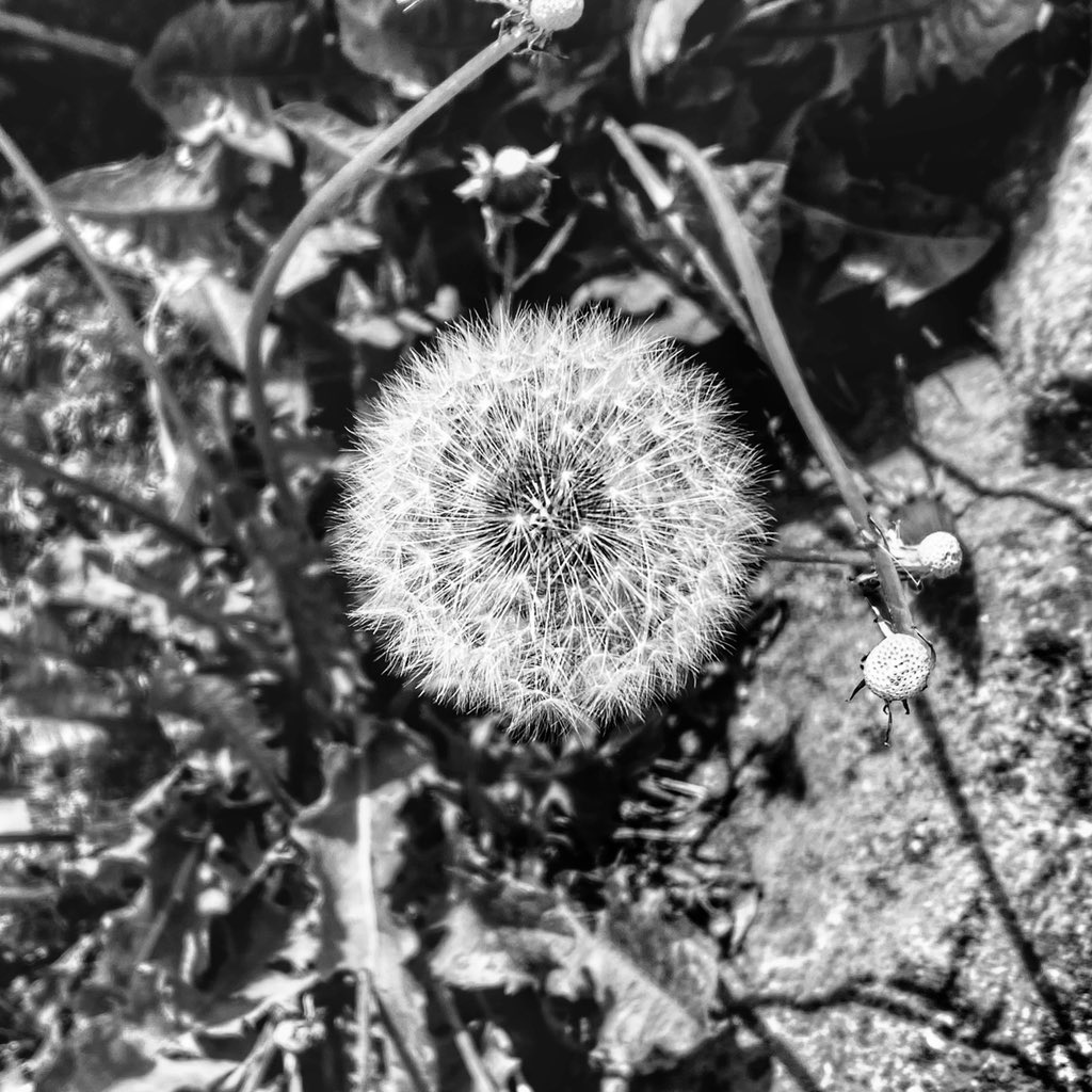 Jill Reidy #wegotthetoriesout tweet media