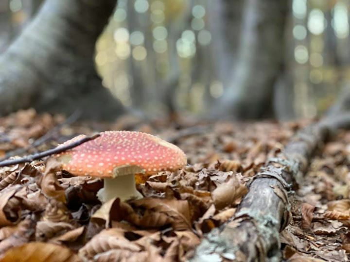 Andrea Grassi (@andrea_grassi) on Twitter photo 