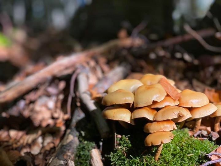 Andrea Grassi (@andrea_grassi) on Twitter photo 