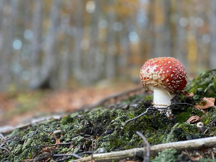 Andrea Grassi (@andrea_grassi) on Twitter photo 