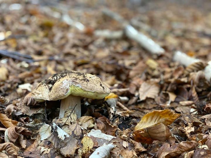 Andrea Grassi (@andrea_grassi) on Twitter photo 