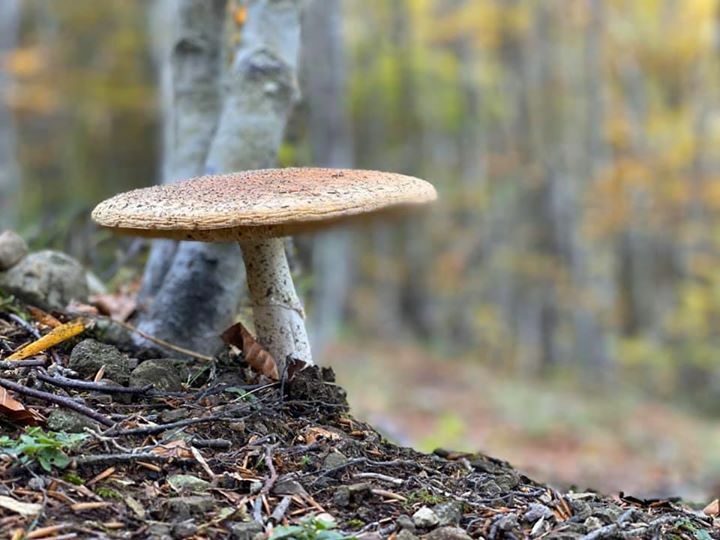 Andrea Grassi (@andrea_grassi) on Twitter photo 