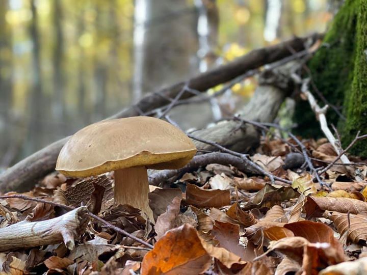 Giusto per star tranquillo... quali mangio?
Si accettano consigli!