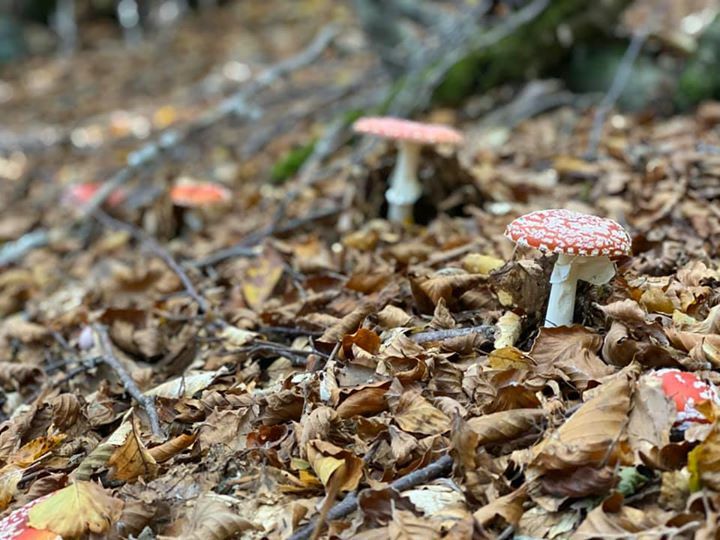 Andrea Grassi (@andrea_grassi) on Twitter photo 