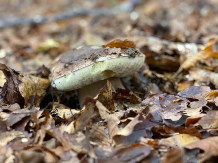 Andrea Grassi (@andrea_grassi) on Twitter photo 