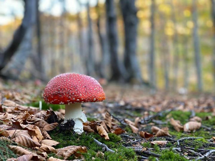 Andrea Grassi (@andrea_grassi) on Twitter photo 