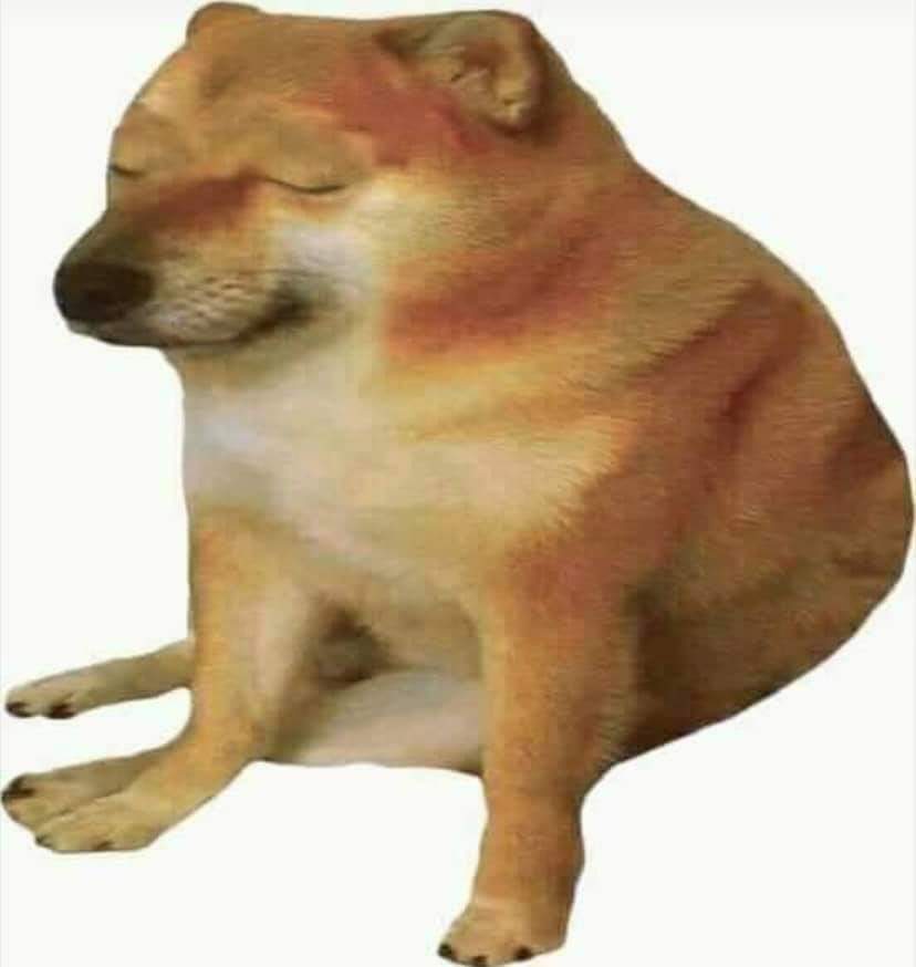 vxmar_'s tweet image. No se ni pa que me meto a ver el #Polyglotcheck Si hasta el ingles se me está volviendo una kk