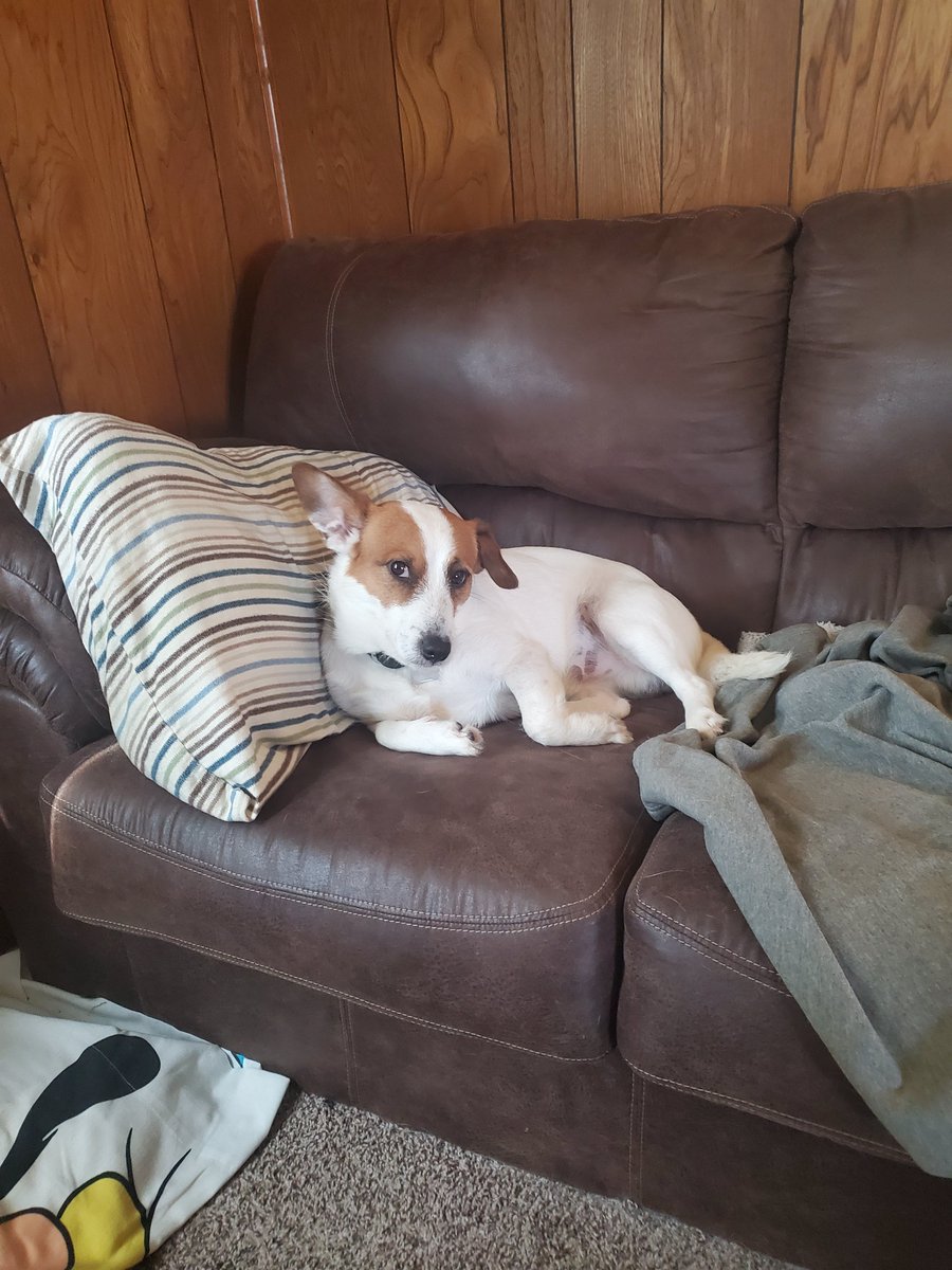goose4739's tweet photo. RT @KnowL41055996: RT @Colbywinters: Rescue a pet. They may end up rescuing you....
#WaysToAvoidLoneliness https://t.co/GGO5uIOvdd