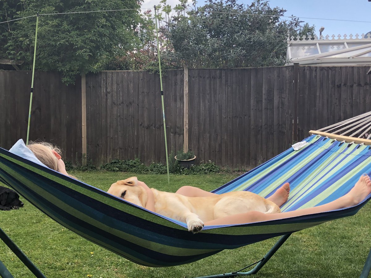 deblprice's tweet image. #SameDay #DifferentDog