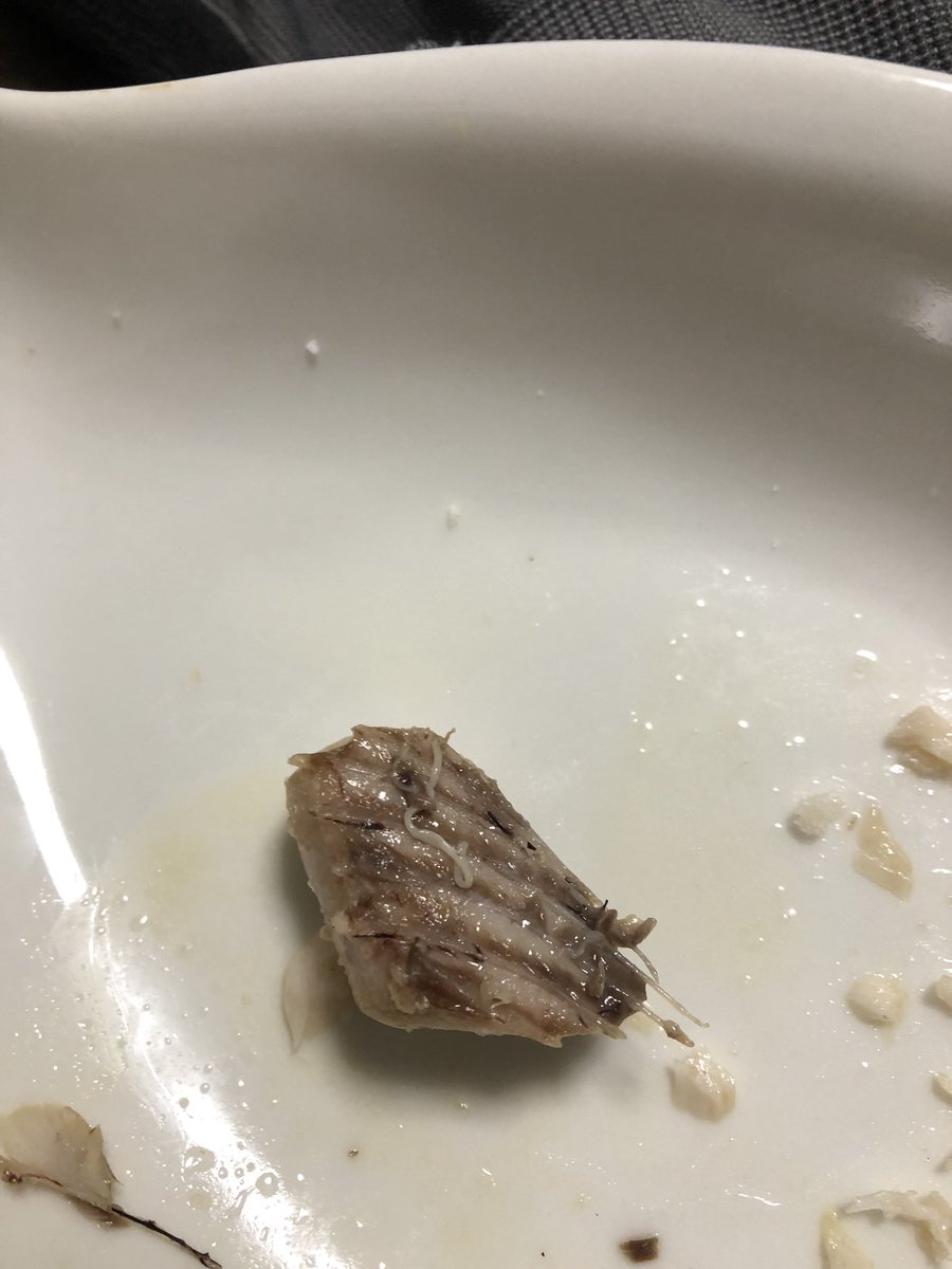 アニサキスは加熱すれば大丈夫 冷凍では死なない 食べたらどうする Co News