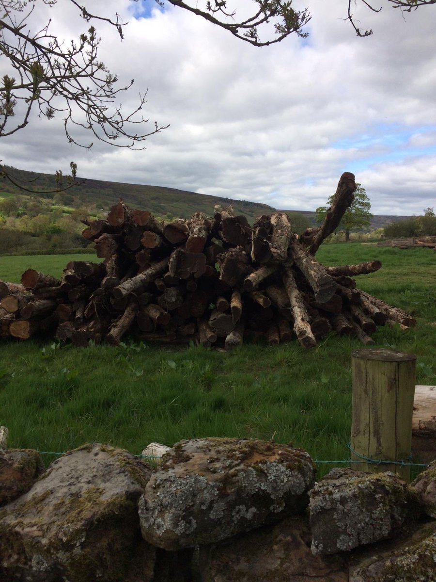 TEALEANDSONS's tweet image. Interesting little load of yew! Should produce some quirky boards! #yew #liveedge #uktimber