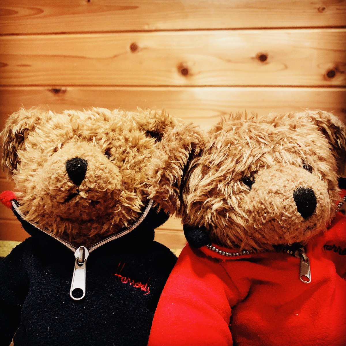 KasaiSpace's tweet image. 小学校一年生向けの
英語の授業

5/12(火)9:00〜
限定配信予定です

▼ご希望の方は「いいね」を押して
お待ちください☺️

アシスタントの
ラルフ＆フローリーも緊張気味🧸

一年生以外も参加歓迎です🌸

学校の授業が再開するまで
毎週配信したい。

#StudyNonStop
#学びを止めるな
#葛西スペース