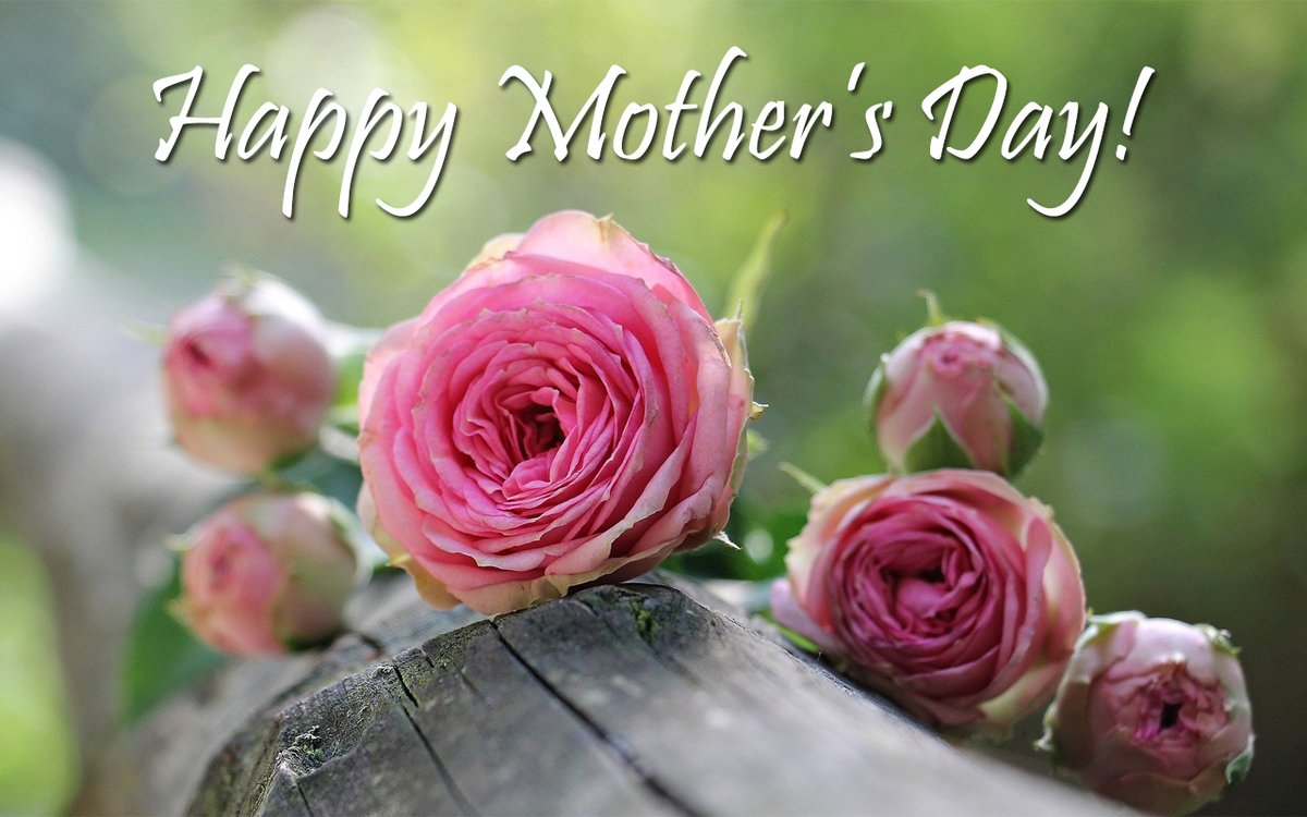 Calvary_East's tweet photo. Happy Mother's Day weekend! Don't miss our online worship time at 10:30 a.m. EDT Sunday.  This week's sermon looks at an unfamiliar but fascinating Old Testament character named Athaliah as a daughter, wife, mother, and grandmother. https://t.co/YSaXOfsZcc #MothersDay #WorshipGod https://t.co/PQQeQ7Qa9K