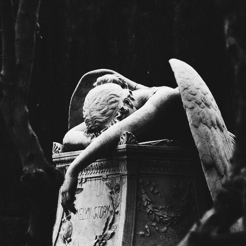 . * 🤿

       𝕳ey guys * 📟 . 𝕴’m hitoshi╺ jeno 00’s 、𝖌 onna do ˓ แลกฟอล ⌯ ตามทัก ˒ 𝕵ust 𝖗𝖙 * 🦾

ยพท ลฟตท 🐕‍🦺