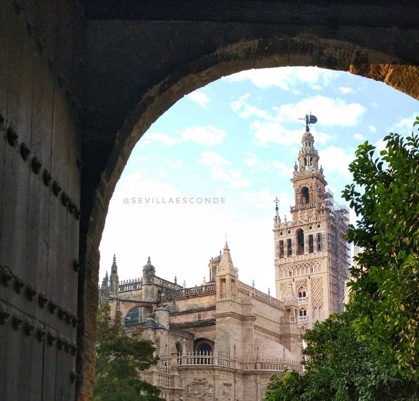 SevillaEsconde's tweet photo. A veces las cosas se ven de otro modo con la distancia. Desearía poder hablarte, desearía poder sonreírte, desearía poder abrazarte, pero sobre todo, desearía poder disfrutar de tí cada segundo de mi vida. #SevillaHoy #Sevilla #Andalucia #Covid_19 #QuedateEnCasa ❤️❤️ https://t.co/cfdwleoGoy