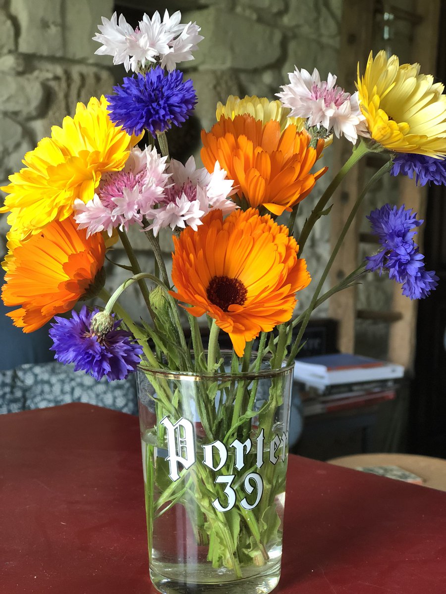 Bringing you some sunshine on a stormy Saturday afternoon! Home grown from seeds we scattered in vineyard outside the gates. So colourful they bring you cheer on a damp confinement day! #lagrandemaisondarthenay #loirevalley #loirevineyards #sunnyflowers #flowermeadow @zaraflora
