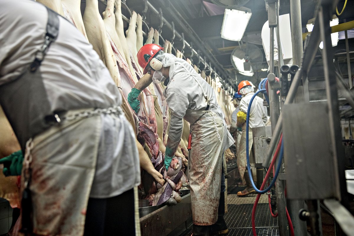 Take meat processing plants, for example, where hundreds of workers are getting sick. If they can’t reopen safely and profitably with humans, they can and should with robots  https://bloom.bg/2LeMXZz 