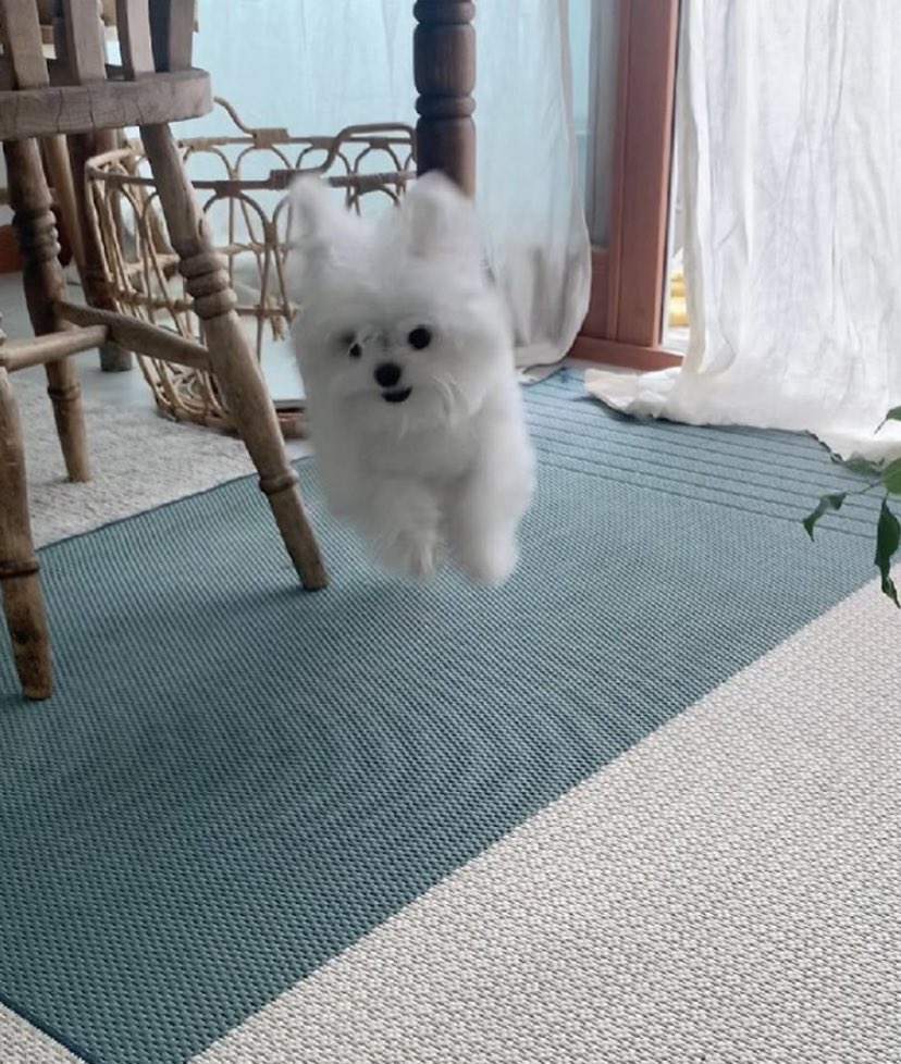 this isn’t jaerong but