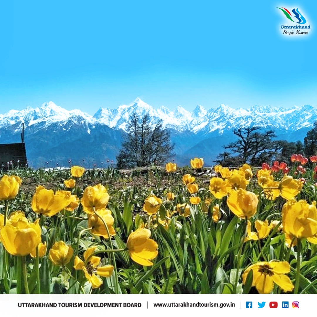 Uttarakhand Tourism tweet media