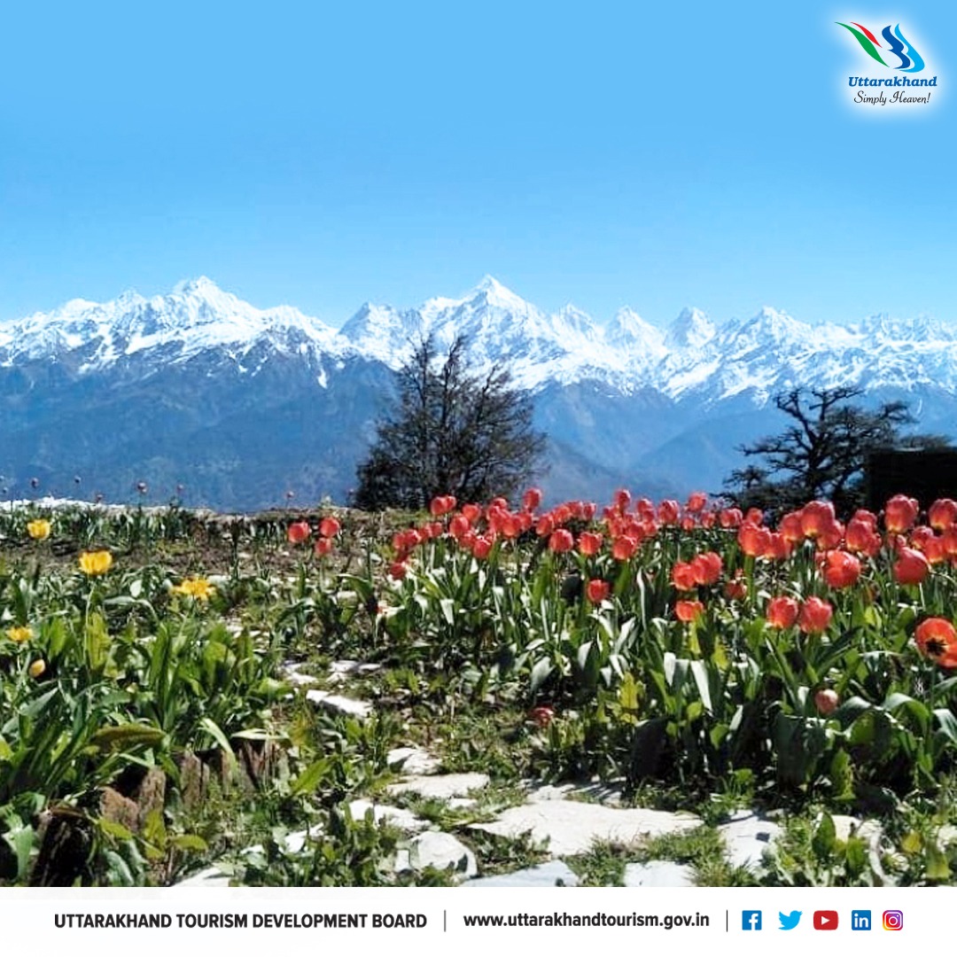 Uttarakhand Tourism tweet media
