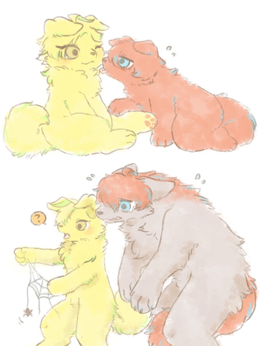 49_hifudogs's tweet photo. 成長するにつれどんどん体格差が顕著になっていくタイプのおさなな獣人🐾 https://t.co/zQkE1uMIBs
