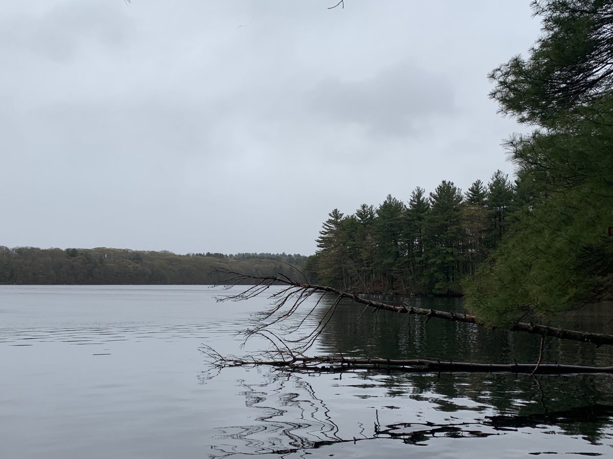 マサチューセッツは季節外れの小雪。ソーシャルディスタンスを気にすることなく、暫し散策。混沌の目と鼻の先にある静寂。