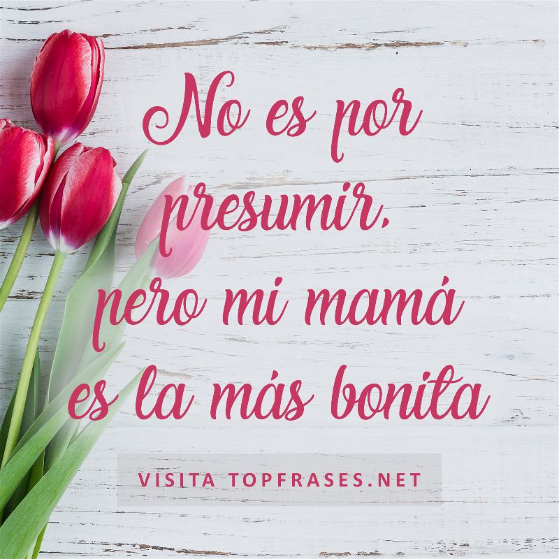 Alexia Reyes ???????????????? on Twitter: "???? #DinamiCuba para mi mamá que ha sido  mi mejor maestra, me enseñó sobre la compasión, el amor y el ser valiente.  Si el amor ???? es