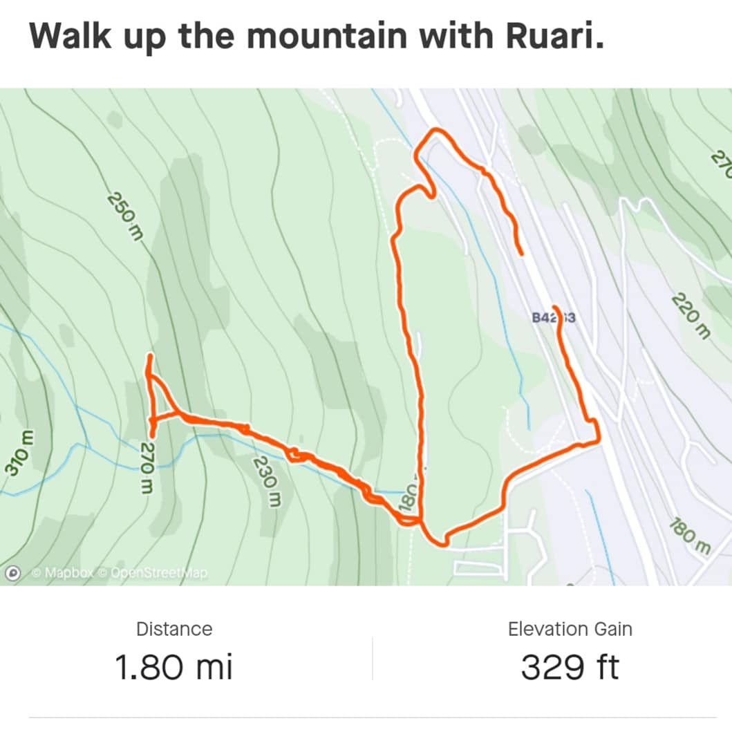 tsdpete's tweet image. Walk up the mountain with Ruari. #Senghenydd #FatherAndSon