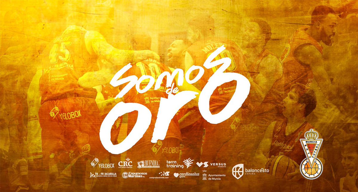 Terra Training tweet media