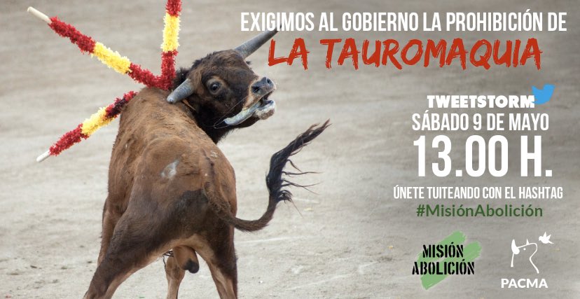 NuriGago's tweet photo. Que esto sea legal nos define como sociedad. La empatía y el respeto son el único camino para alcanzar una sociedad sana. Porque esto es una tortura y una atrocidad #MisionAbolicion https://t.co/X5ShXk8zft