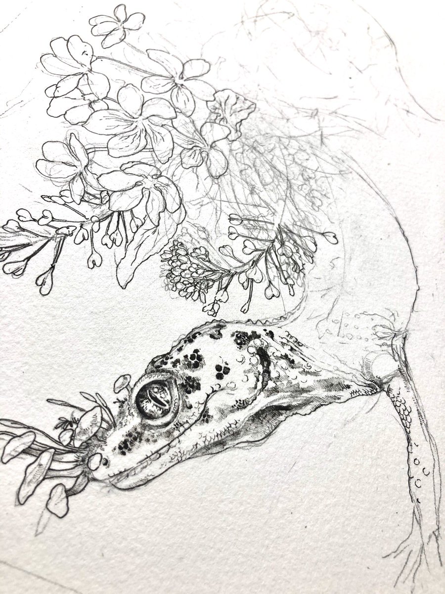 描くたび顔の感じはよくなってる気がする
相変わらず細部がめんどちぃやつ… 