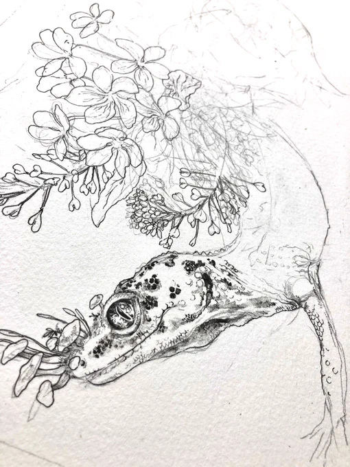 描くたび顔の感じはよくなってる気がする
相変わらず細部がめんどちぃやつ… 