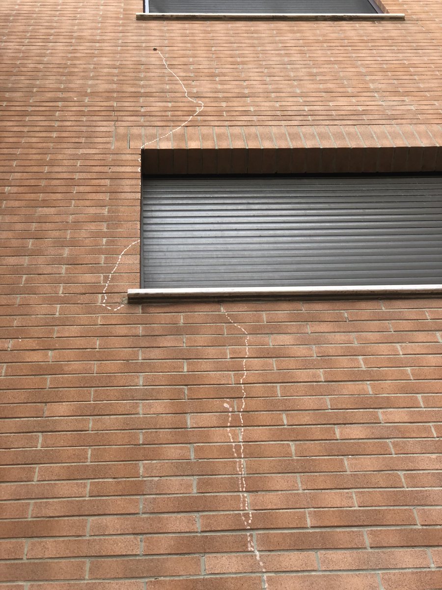 MelaniaV72's tweet photo. What you see is a snail going up to the 3rd floor. This made me think. It doesn't matter if others see you as a snail outside if you are a marathon runner inside. Fly up to your goal regardless of how others see you. What you really are depends on the choices you make. https://t.co/TizTxvhwDH
