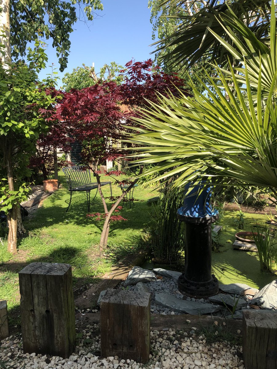 JoeWenborne3rd's tweet photo. Breakfast in the garden. How much more can I take of this? https://t.co/TerSkHCGQT