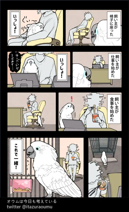 同じ時間を共有したいオウム
#オウムは今日も考えている #漫画 